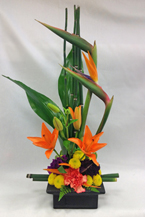 a boldly colored, striking flower and plant arrangement with strong angular lines